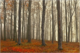 <p>Šluknovsko - Království</p>